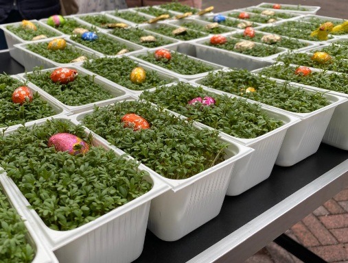 Kresse zu Gründonnerstag