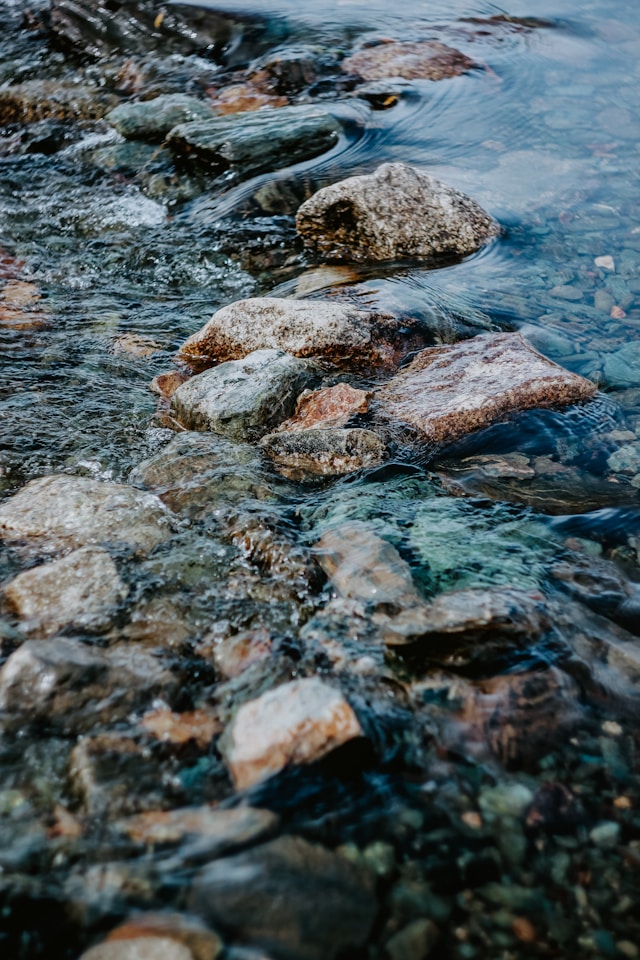 Wie steht es um die Wasserqualität der Volme?